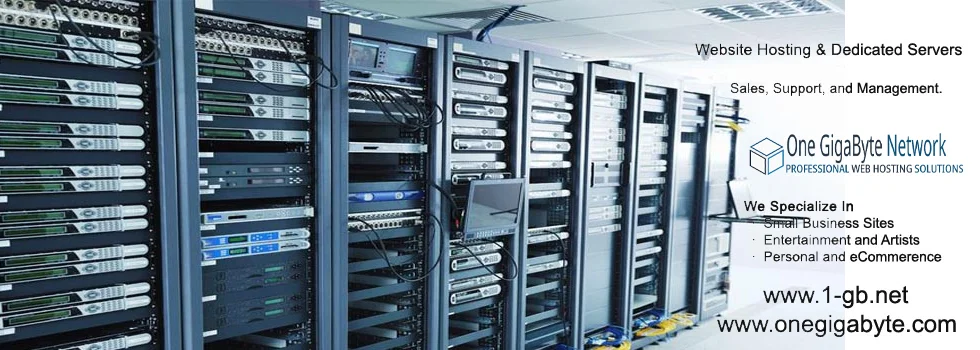One GigaByte Network Web Hosting